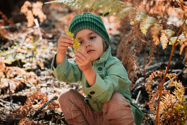 Little caucasian baby girl squatting in the forest among ferns — Stock Photo, Image
