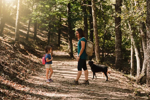 Matka a dcera kráčející stezkou v lese — Stock fotografie