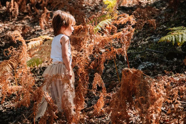 Pequena menina branca se agachando na floresta entre samambaias — Fotografia de Stock
