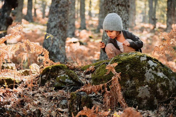 Malá kavkazská holčička dřepící v lese mezi kapradinami — Stock fotografie