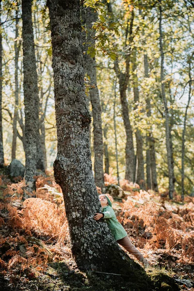 Девочка в осеннем лесу среди папоротников — стоковое фото