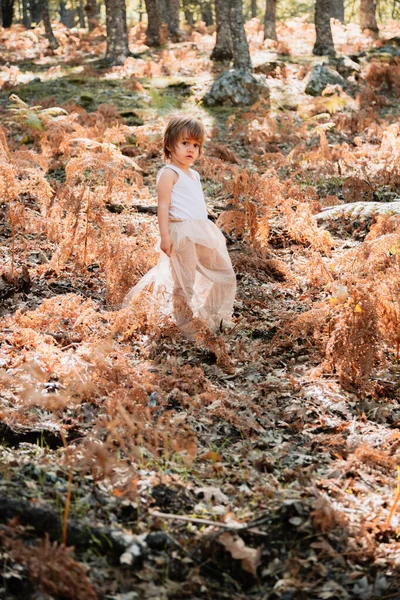 Pequena menina branca se agachando na floresta entre samambaias — Fotografia de Stock