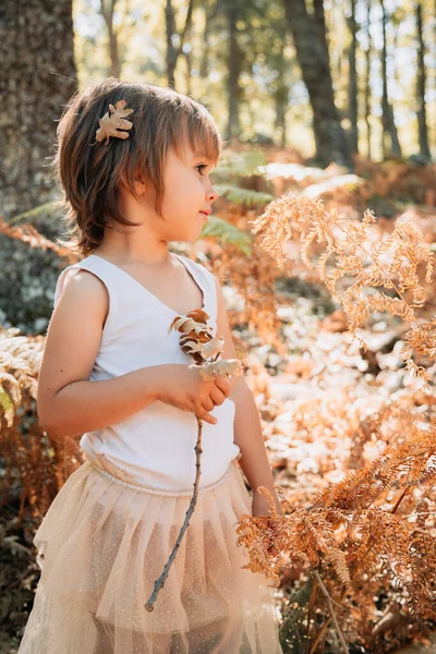 Klein blank meisje dat in het bos tussen varens staat — Stockfoto