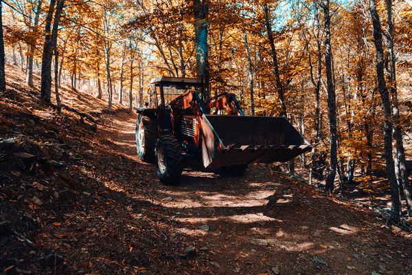 Tractor in autumn chestnut forest in Spain with warm colors — Stock Photo, Image