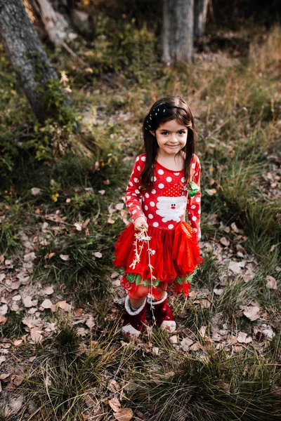 Crianças disfarçadas de Natal na floresta com a família — Fotografia de Stock