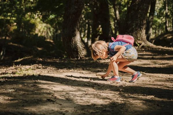 Little blonde girl collecting acorns from ground in the forest
