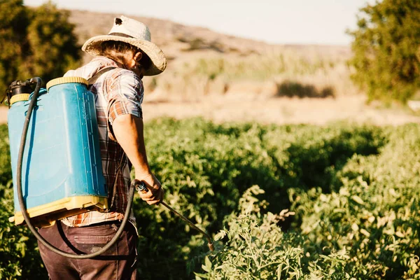Молодой фермер распыляет органические удобрения с ручным насосом — стоковое фото