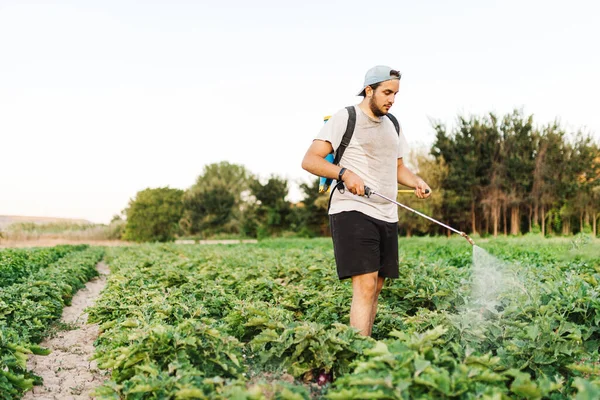 Homem agricultor pulverizando herbicida orgânico na cultura — Fotografia de Stock