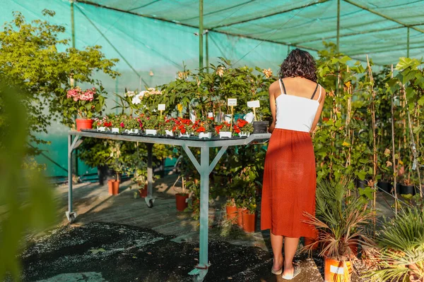 Mulher com máscara facial jardinagem em estufa covid-19 — Fotografia de Stock