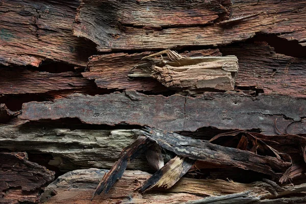 流木樹皮単色の背景 — ストック写真
