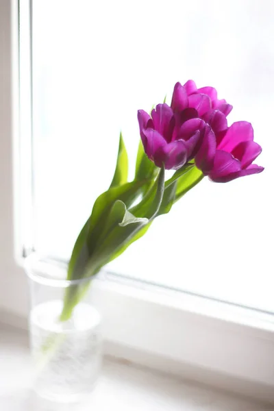 Strauß Lila Tulpen Fenster — Stockfoto