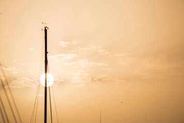 Gemi direkleri üstleri Larnaka altında Yatlar ' s bir daire güneş ile gündoğumu günbatımı, gökyüzü. Pembe gökyüzü arka plan, metin için yer.