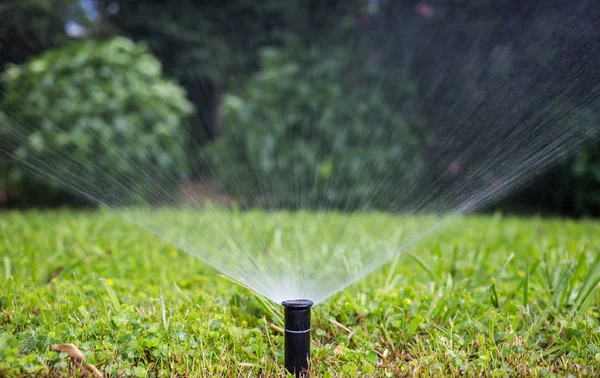 Parks Maintenance Concept Sprinkler Watering Lawn Park Bokeh Background Stock Photo