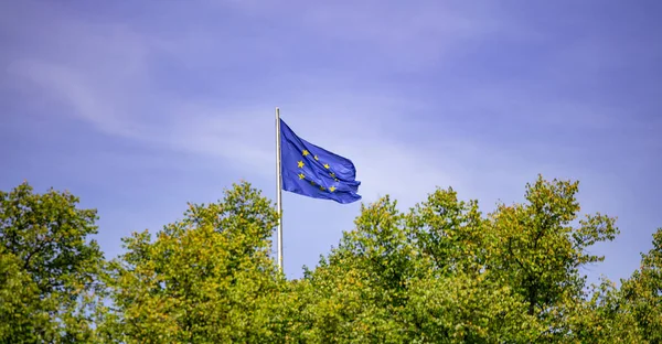 杆子上挂着欧旗 在绿色的树上挥舞着欧盟的旗帜 蓝色天空背景 — 图库照片