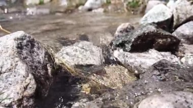 Vahşi bir dağda kayaların üzerinden geçen bir derenin yavaş hareketi. Doğal su akışı, kayalık arazi, ve el değmemiş çevre. Yürüyüş, yürüyüş ve dağcılık seferleri için tipik..