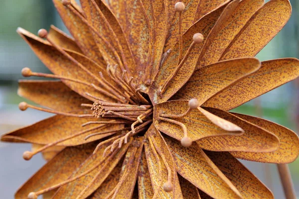 Ijzer Kunstmatig Roestige Bloem Fragment — Stockfoto