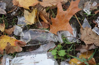 Kırık şişe, sonbahar yapraklarıyla kesişiyor.