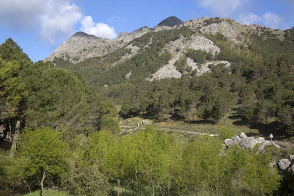 Grazalema Dağlar Cadiz Spanya — Stok fotoğraf