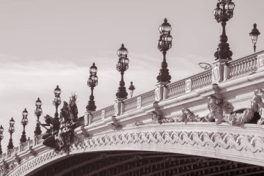 Pont Alexandre Köprüsü; Paris; Fransa Siyah ve Beyaz Sepya Tonu