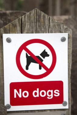 Tahta Posta 'da Köpek Yasaklama Tabelası