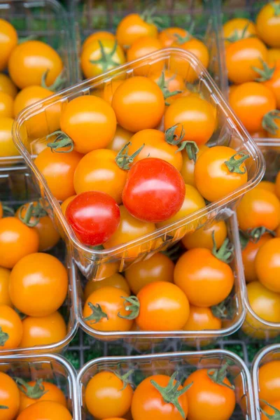 Tomates Cereza Naranja Rojo Caja — Foto de Stock