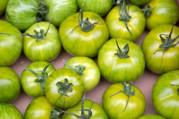 Tomates Vertes Boîte Stand Marché — Photo