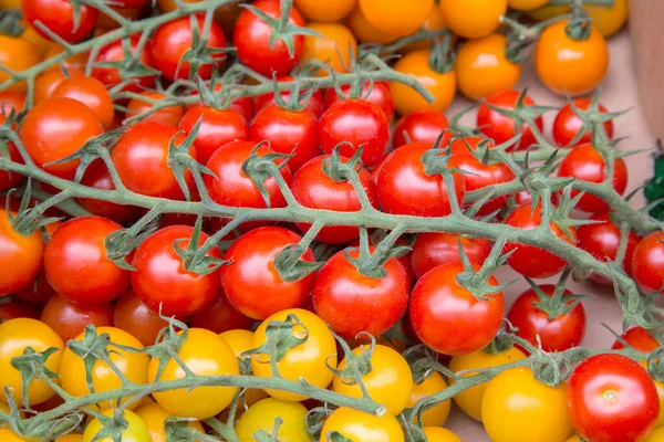 Pomidory Pomarańczowe Czerwone Żółte Wiśniowe Pudełku — Zdjęcie stockowe