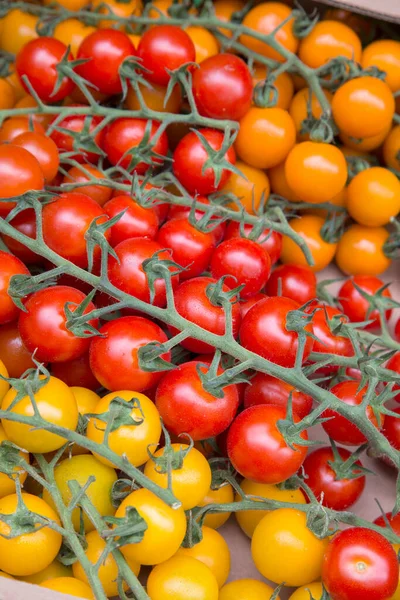 Tomates Cereja Laranja Vermelha Amarela Caixa — Fotografia de Stock