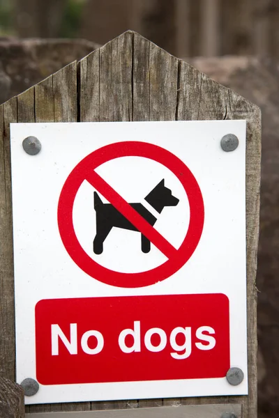 Señal Prohibición Perros Poste Madera —  Fotos de Stock