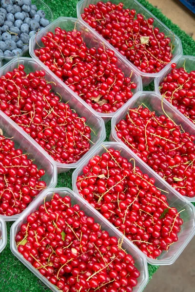 Fruta Grosella Roja Venta Puesto Mercado — Foto de Stock