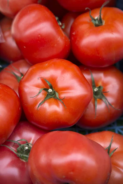 Tomates Rouges Boîte Contexte — Photo