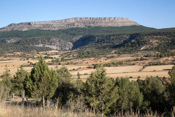 Covarrubias Burgos Castilla Leon Spanya Kırsalında — Stok fotoğraf
