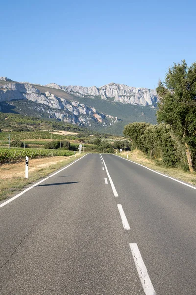 Route Ouverte Campagne Laguardia Alava Pays Basque Espagne — Photo