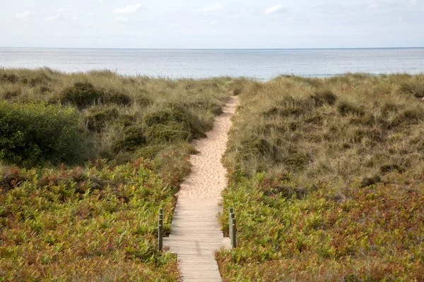 Wooden Footpath Dune Xago Beach Asturias Spain — Stock Photo, Image