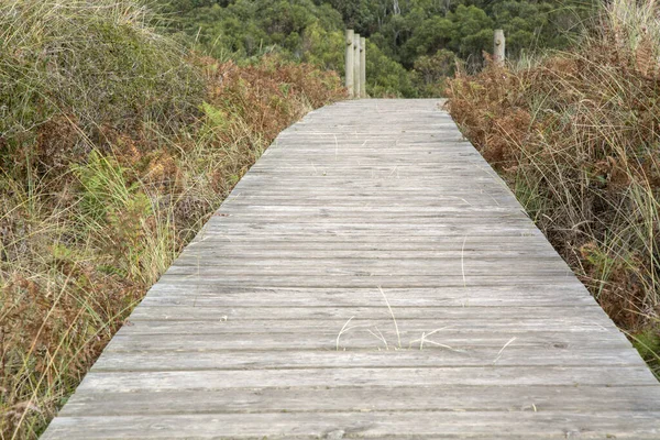 Asturias Spanya Daki Xago Plajı Ndaki Tahta Patika — Stok fotoğraf