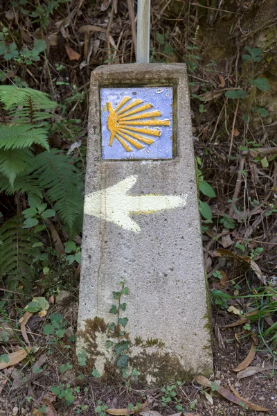 Camino Santiago Walk Sign Asturias Spanyolország — Stock Fotó