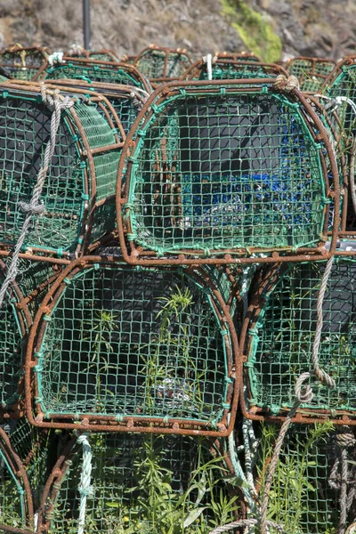 Crab Catching Nets Viavelez Asturias 스페인 — 스톡 사진