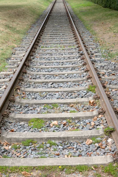 Railway Track Natural Setting Frankfurt German — Stock Photo, Image