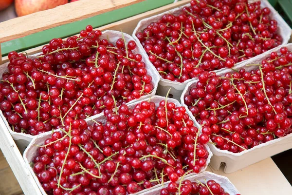 Fruits Groseille Rouge Sur Marché Décrochage — Photo