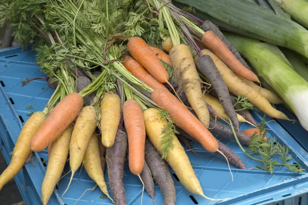 Hortalizas Zanahoria Mercado — Foto de Stock