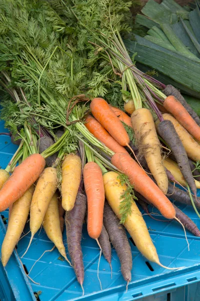 Warzywa Marchewkowe Stoisku Rynkowym — Zdjęcie stockowe