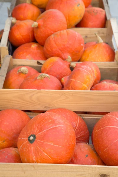 Orange Pumpkin Wooden Crate Market Stall Bordeaux France — стоковое фото