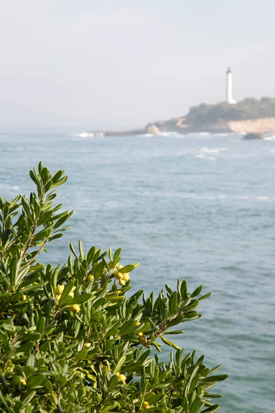 Vuurtoren Biarritz Frankrijk — Stockfoto