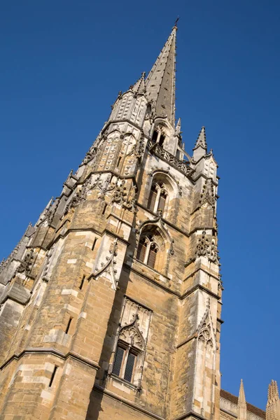 Cathedral Church Tower Bayonne France — стокове фото