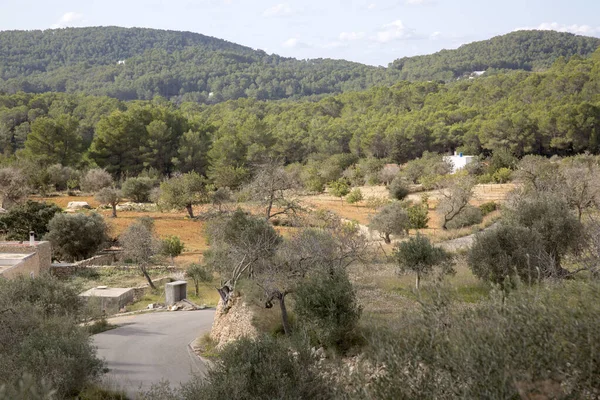 Open Road Santa Agnes Ibiza Spanien — Stockfoto