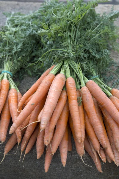 Апельсиновая Морковь Продовольственном Рынке Сантьяго Компостела — стоковое фото