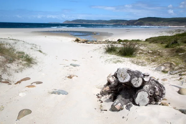 Trunk Rostro Beach Finisterre Costa Muerte Galícia Spanyolország — Stock Fotó