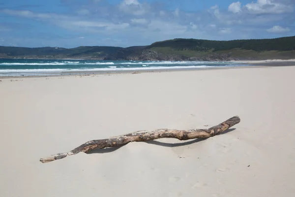 Trunk Rostro Beach Finisterre Costa Muerte Galícia Spanyolország — Stock Fotó