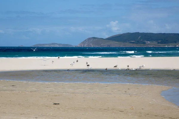 Rostro Beach Finisterre Costa Muerte Galicia Spania – stockfoto