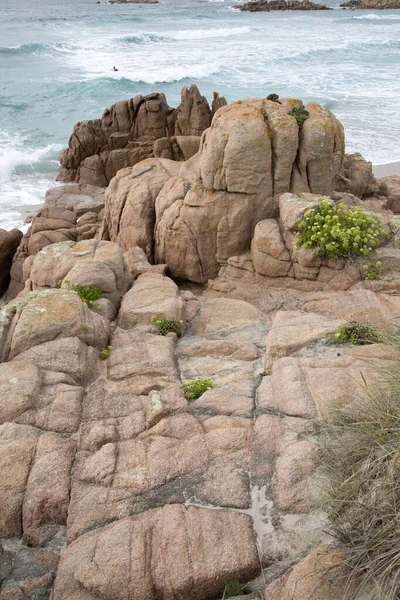 Плантации Скалы Пляже Forcados Point Beach Коста Мюзик Галисия Испания — стоковое фото